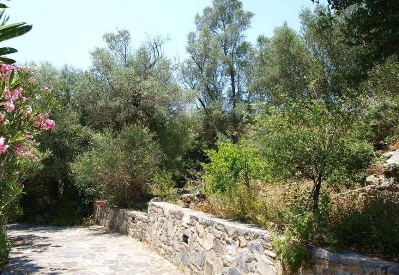 Aposperitis Villas Theodhóra Dış mekan fotoğraf